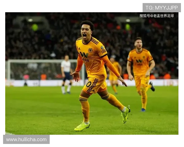 南安普顿足球俱乐部的历史成就与未来发展展望分析